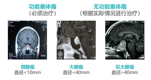 企業微信截圖_16956102039185.png